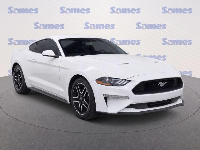 2024 Ford Mustang GT Premium Fastback for sale in Mcallen, TX