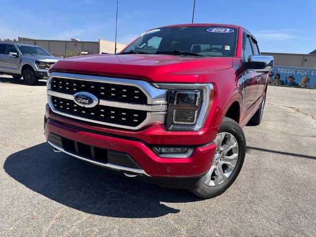 2023 Ford F-150 Platinum for sale in Jonesboro, AR