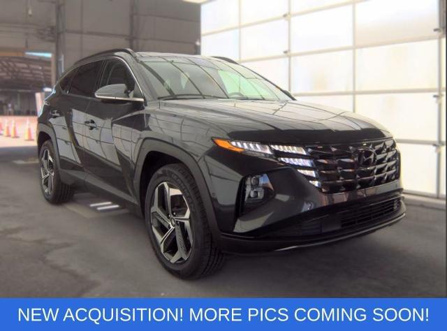 2023 Hyundai Tucson Limited for sale in Olive Branch, MS