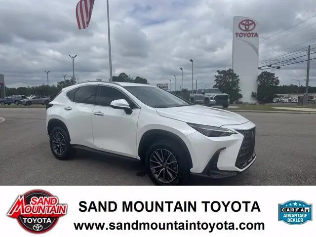 2023 Lexus NX NX 250 for sale in Albertville, AL