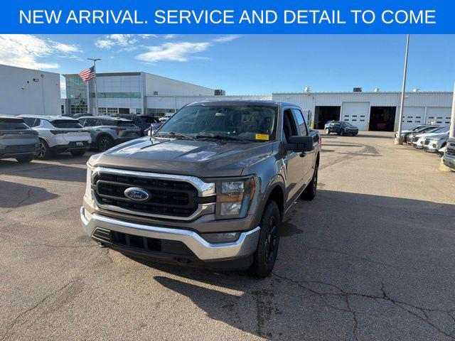 2023 Ford F-150 XLT for sale in Sterling Heights, MI