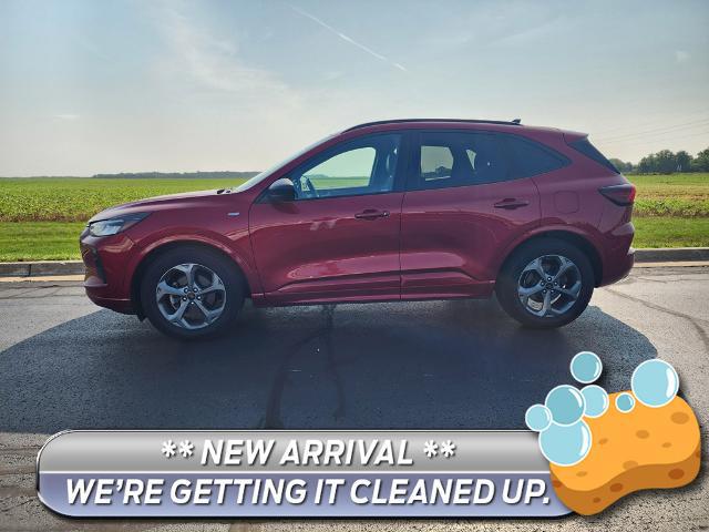 2024 Ford Escape ST-Line for sale in Watseka, IL