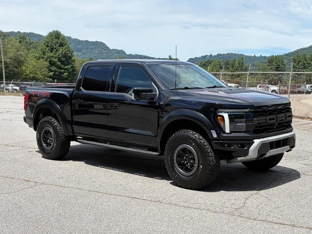 2025 Ford F-150 Raptor for sale in Canton, NC