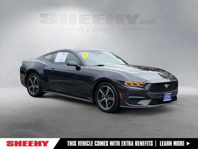 2024 Ford Mustang EcoBoost Fastback for sale in Springfield, VA
