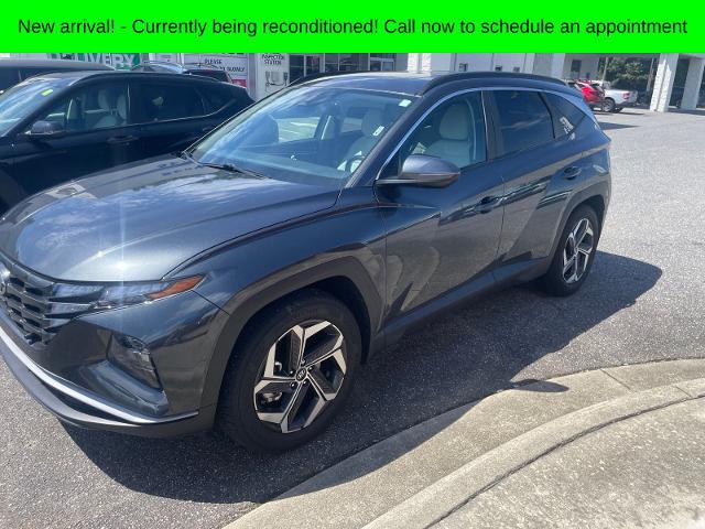 2024 Hyundai Tucson SEL for sale in Rutherford College, NC