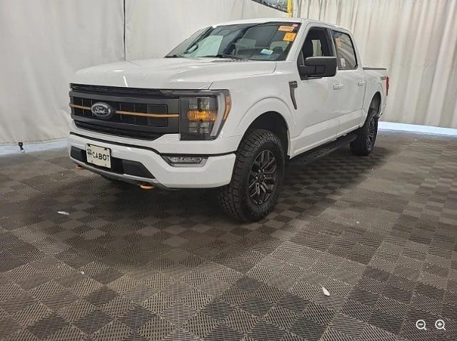 2023 Ford F-150 Tremor for sale in Flint, MI