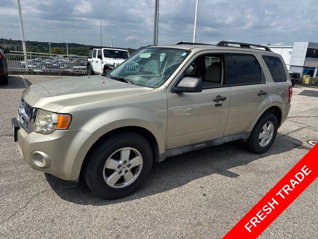 2010 Ford Escape XLT for sale in Alexandria, KY