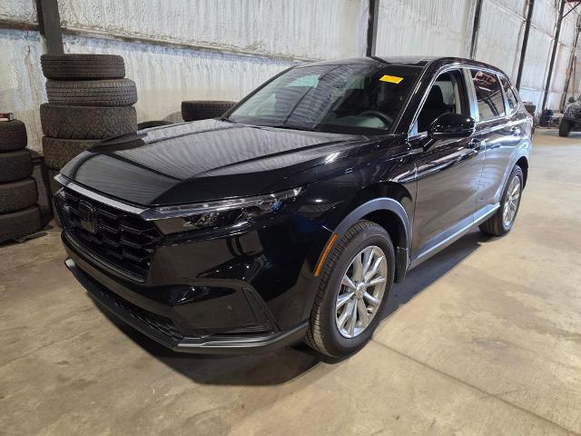 2025 Honda CR-V EX AWD for sale near Chillicothe, OH