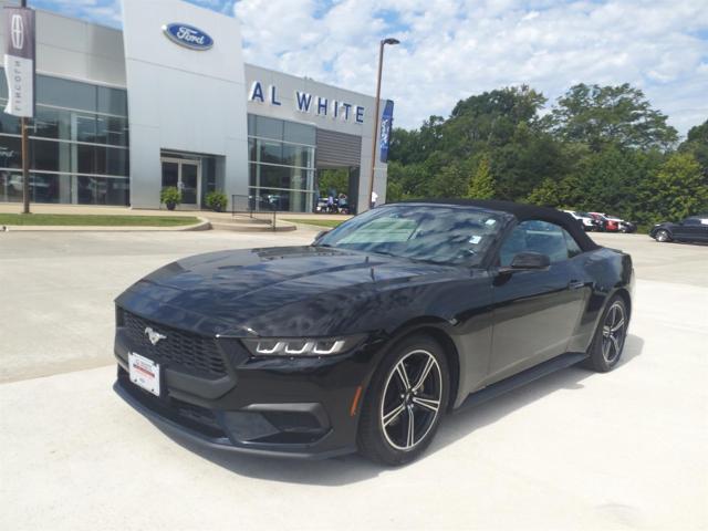 2024 Ford Mustang EcoBoost Premium Convertible for sale in Manchester, TN