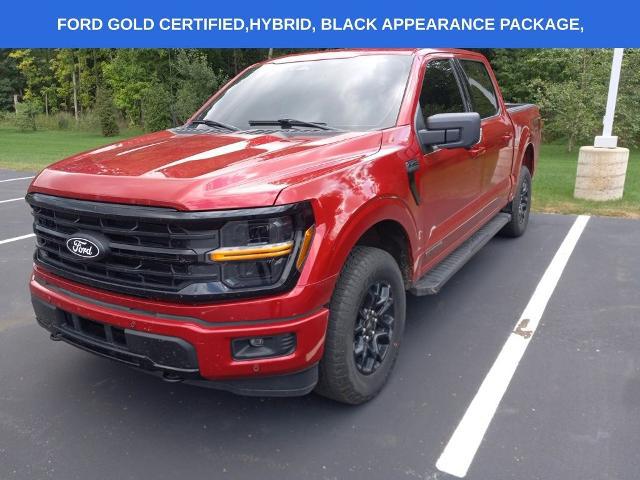 2024 Ford F-150 XLT for sale in Galesburg, MI