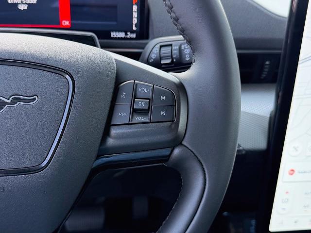 2023 Ford Mustang Mach-E California Route 1
