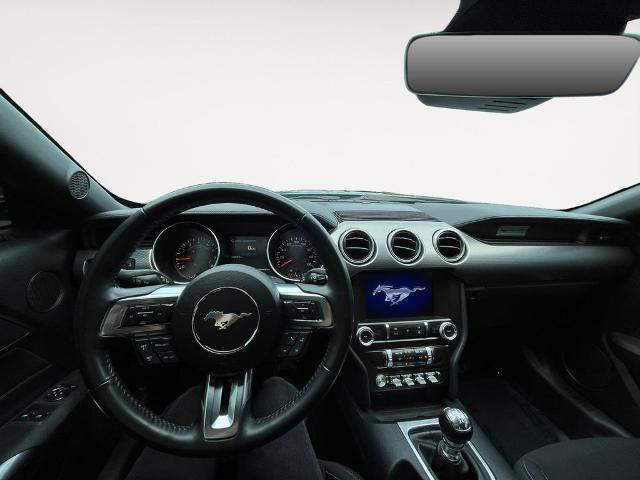 2021 Ford Mustang GT Fastback