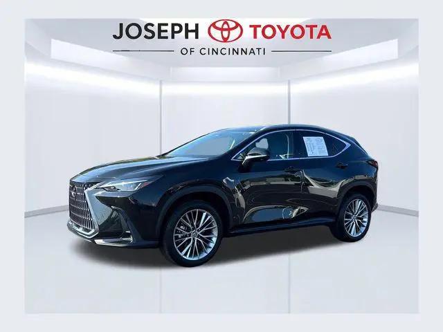 2025 Lexus NX 350 Premium for sale in Cincinnati, OH