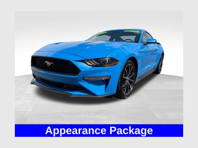 2022 Ford Mustang EcoBoost Fastback for sale near Newark, OH
