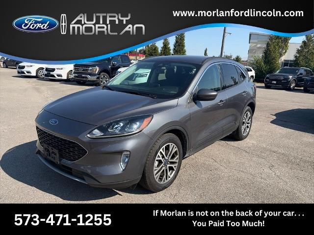 2021 Ford Escape SEL Hybrid for sale in Sikeston, MO