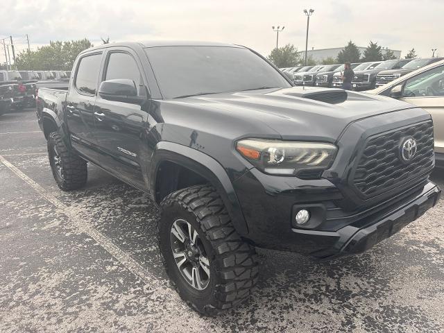 2019 Toyota Tacoma TRD Sport for sale in Chattanooga, TN