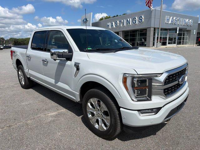 2023 Ford F-150 Platinum for sale in Greenville, NC