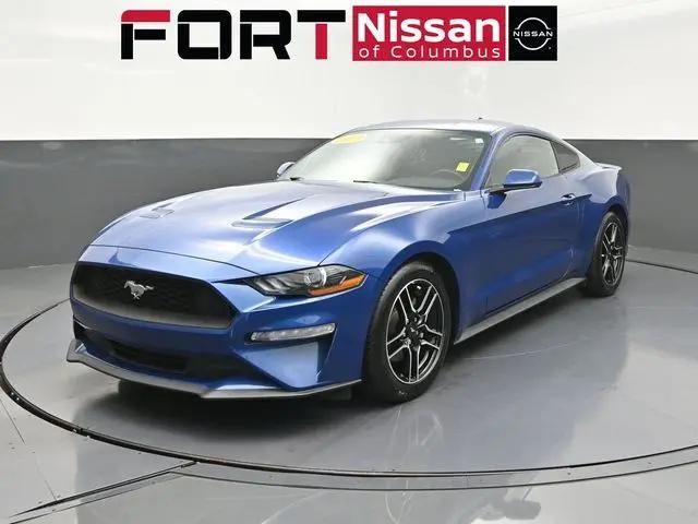 2023 Ford Mustang EcoBoost Fastback for sale in Columbus, GA