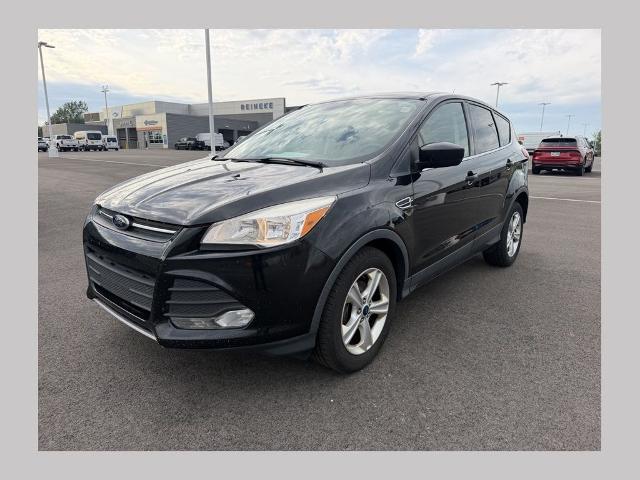 2015 Ford Escape for sale near Findlay, OH