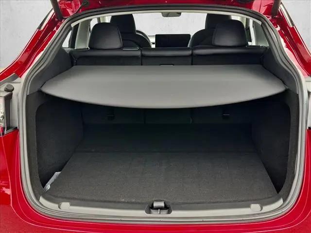 2024 Tesla Model Y Performance Dual Motor All-Wheel Drive