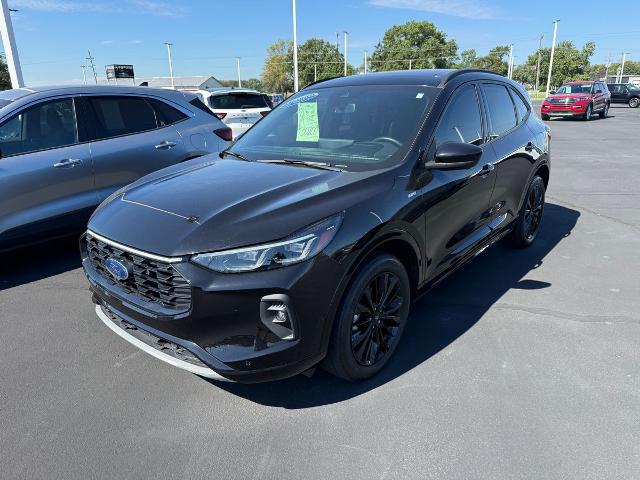 2024 Ford Escape ST-Line Elite for sale in Terre Haute, IN