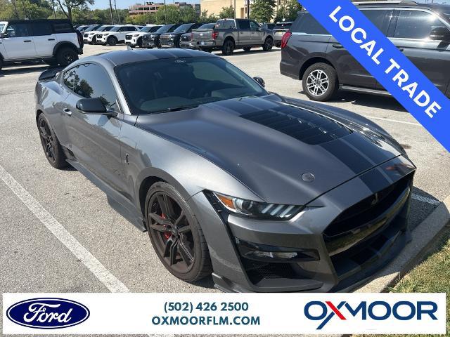 2021 Ford Mustang Shelby GT500 Fastback for sale in Louisville, KY