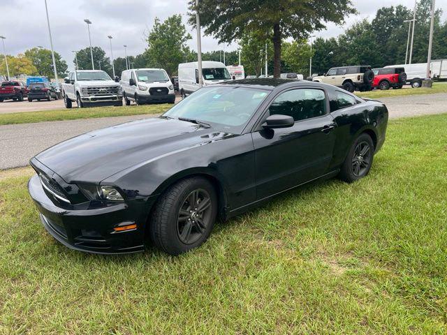 2014 Ford Mustang V6 for sale in Wendell, NC