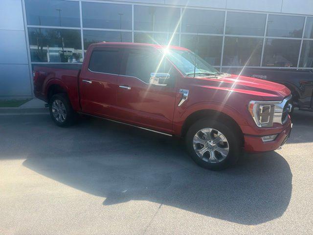 2023 Ford F-150 Platinum for sale in Florence, SC