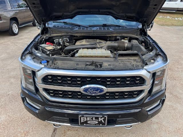 2022 Ford F-150 Platinum