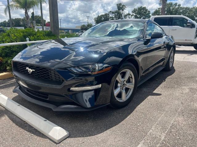 2019 Ford Mustang EcoBoost for sale in Plant City, FL