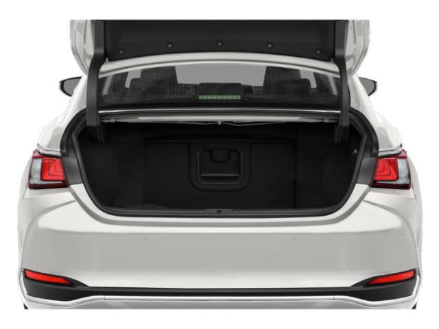 2021 Lexus ES 300h 300h