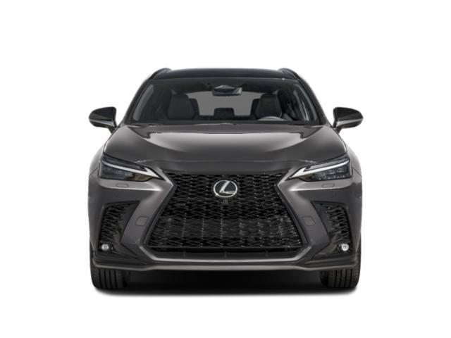 2026 Lexus NX Luxury
