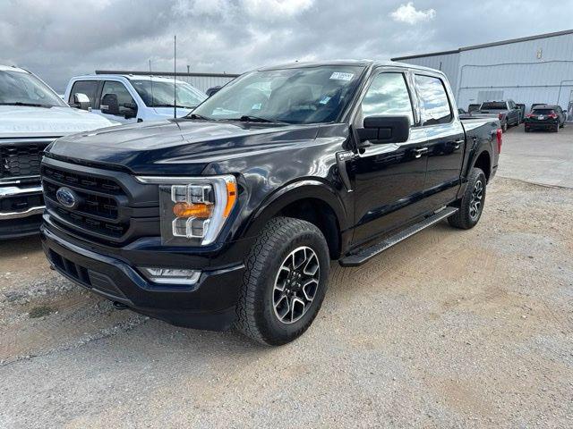 2023 Ford F-150 XLT for sale in Whitesboro, TX