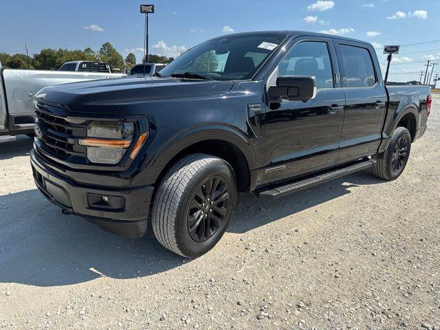 2024 Ford F-150 XLT for sale in Whitesboro, TX