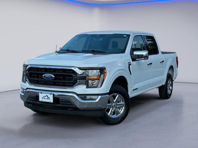 2023 Ford F-150 XLT for sale in Chattanooga, TN