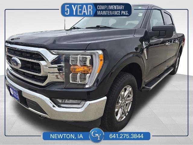 2023 Ford F-150 XLT for sale in Newton, IA