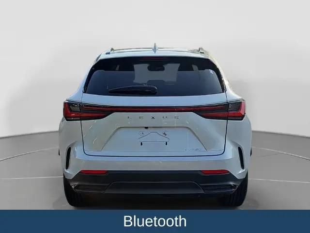 2025 Lexus NX Premium