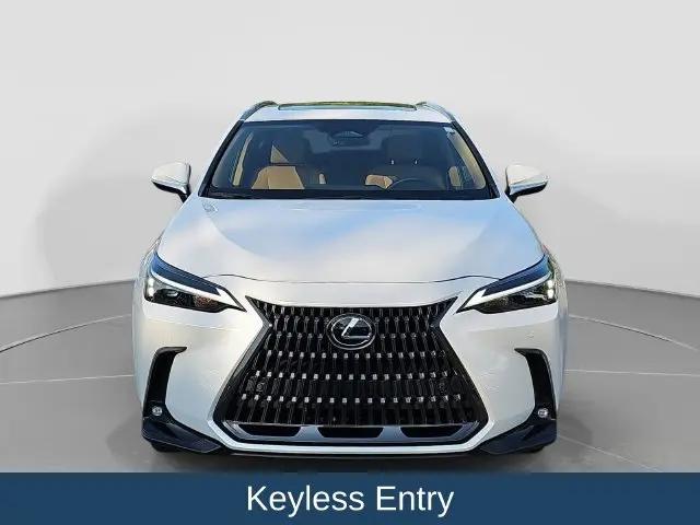 2025 Lexus NX Premium