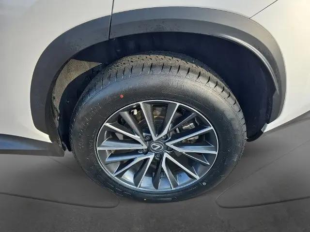 2025 Lexus NX Premium