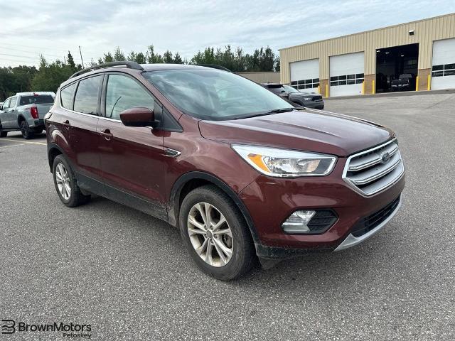 2018 Ford Escape SE for sale in Petoskey, MI