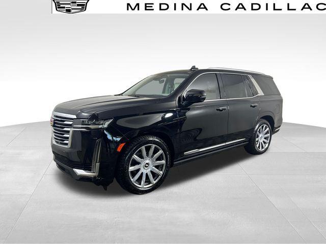 2023 Cadillac Escalade 4WD Premium Luxury Platinum for sale in Medina, OH