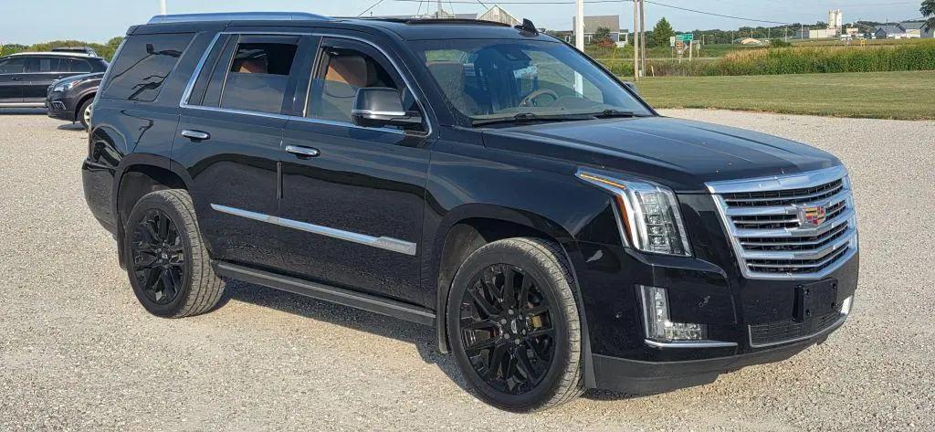 2019 Cadillac Escalade Platinum for sale in Waterloo, IL