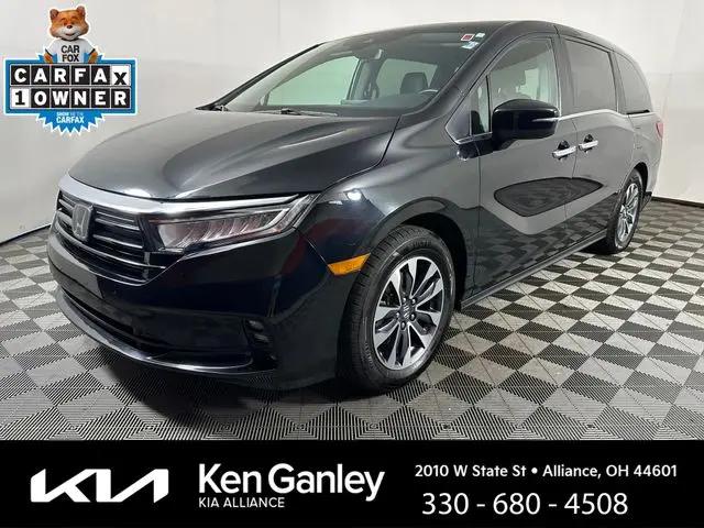 2024 Honda Odyssey EX-L for sale in Alliance, OH