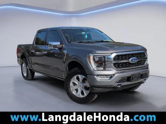 2023 Ford F-150 Platinum for sale in Valdosta, GA
