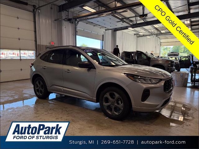 2024 Ford Escape ST-Line for sale in Sturgis, MI