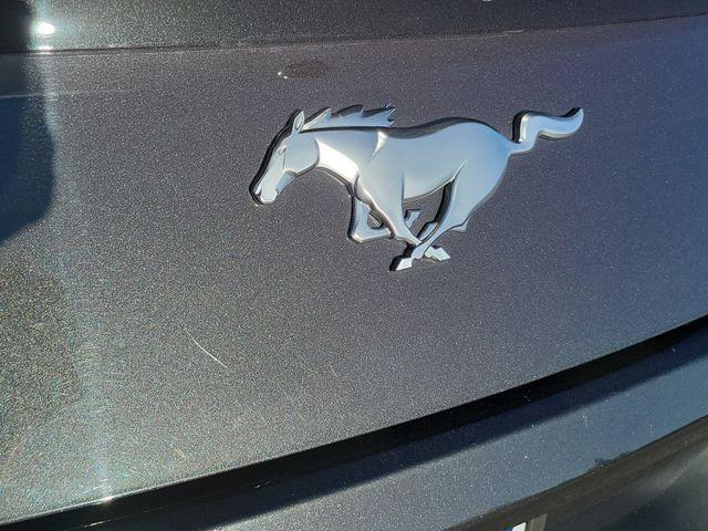 2024 Ford Mustang EcoBoost Fastback