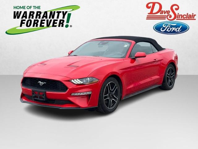 2023 Ford Mustang EcoBoost Premium Convertible for sale in Saint Louis, MO