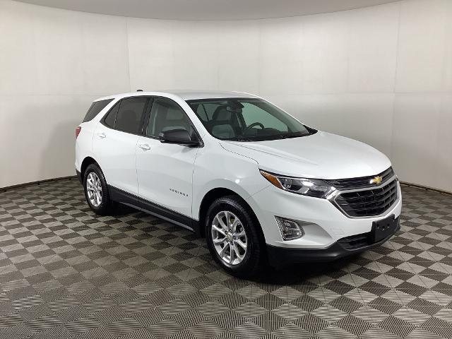 2019 Chevrolet Equinox LS for sale in Grandville, MI