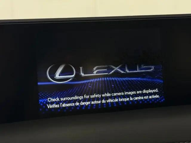2021 Lexus UX 250h UX 250h