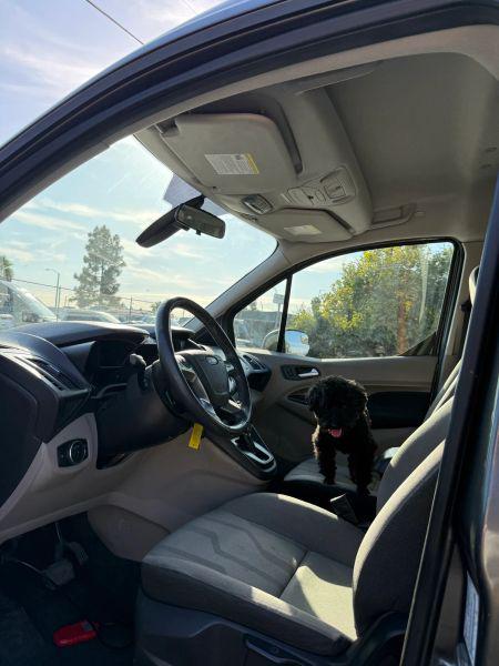 2016 Ford Transit Connect XLT